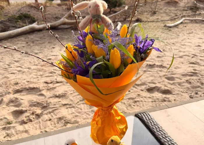 Shellter Delux Luksusowy W Otulinie Lasu Sosnowego * Rogowo (Gryfice)